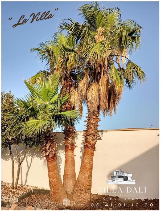 Villa Dali La Garde 260M2 Jacuzzi, Sauna, Piscine, Jardin 500M2, 5 Minutes De La Plage 외부 사진